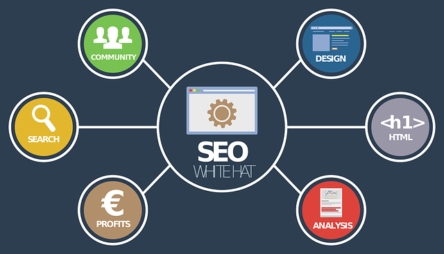 Fully managed seo service providers use advanced technologies to boost visibility and organic traffic